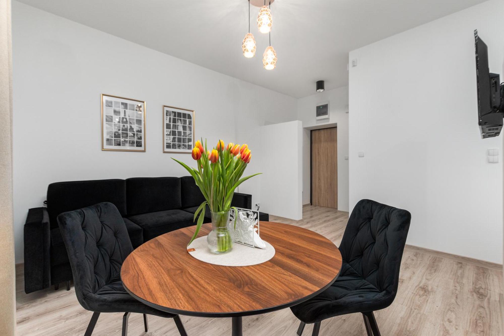 Apartment Coco Premium Radosc Warschau