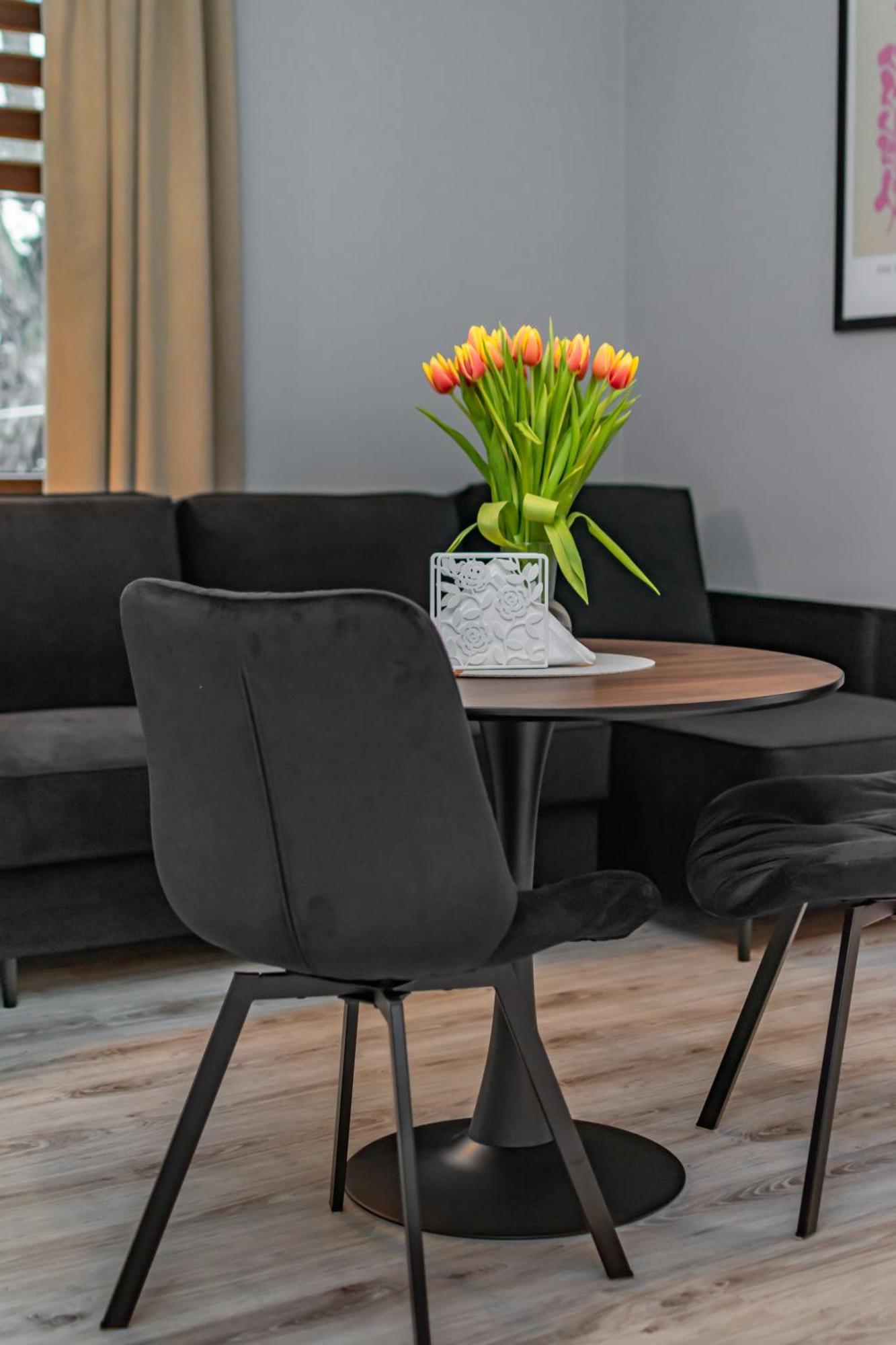 Appartement Coco Premium Radosc